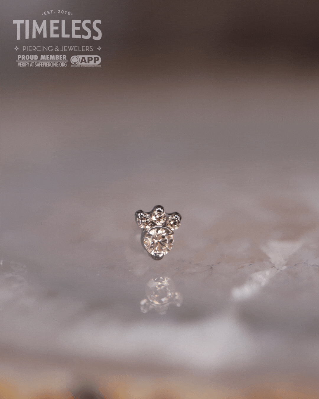 アクセサリー CARINA PIERCE Carina by Industrial Strength | Timeless Piercing & Jewelers